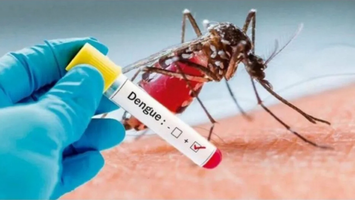 Sesapi chama atenção para enfrentamento a dengue