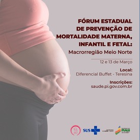 Sesapi realiza Fórum Estadual de Prevenção de Mortalidade Materna, Infantil e Fetal para macrorregião Meio Norte