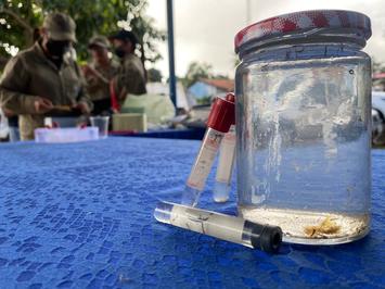 Sesapi vai intensificar trabalho com municípios para evitar subnotificação da dengue