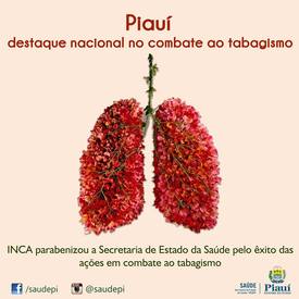 Piauí é destaque nacional no combate ao tabagismo
