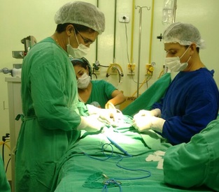 Hospital de Parnaíba realiza cirurgias em pacientes neonatais