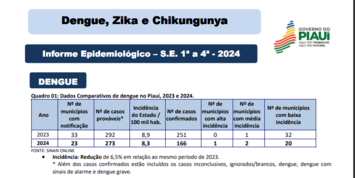 Piauí mantém índice satisfatório de incidência de dengue, com redução de 33% dos casos em 2024